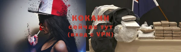 ПСИЛОЦИБИНОВЫЕ ГРИБЫ Краснослободск