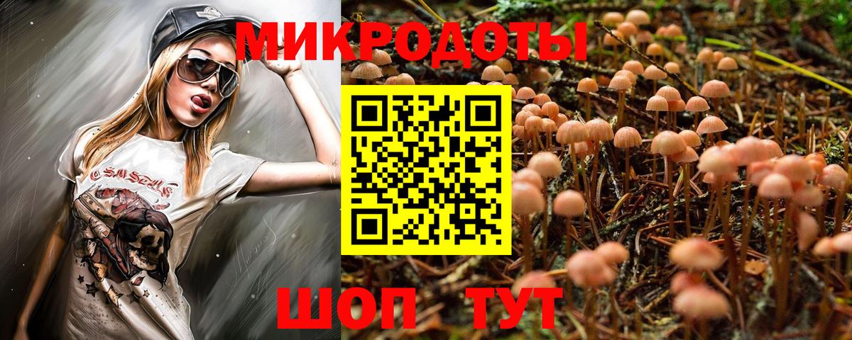 Псилоцибиновые грибы Cubensis Назарово
