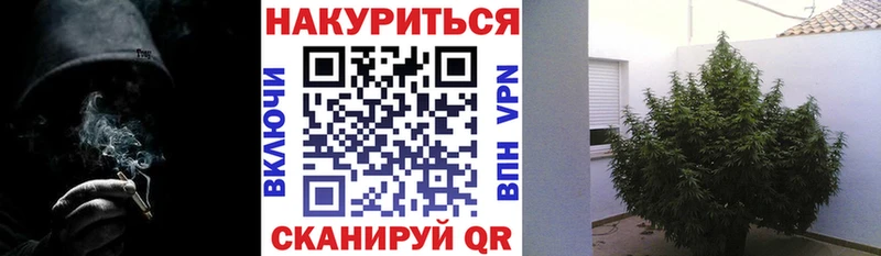 Бошки Шишки планчик  где купить наркоту  Назарово 